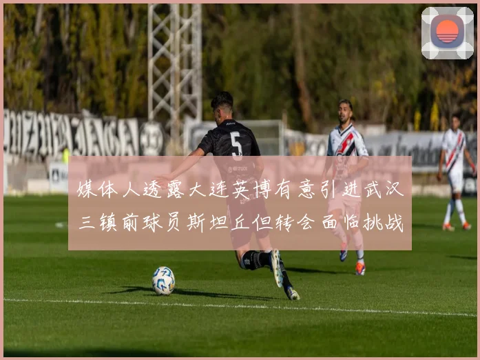 媒体人透露大连英博有意引进武汉三镇前球员斯坦丘但转会面临挑战